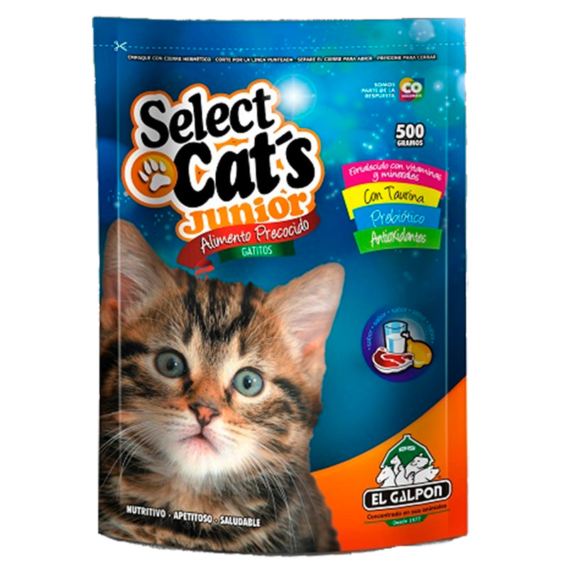 Select Cats Junior