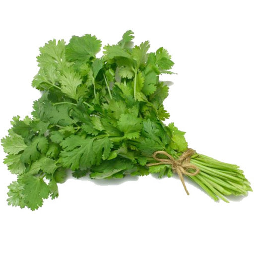 Cilantro Atado